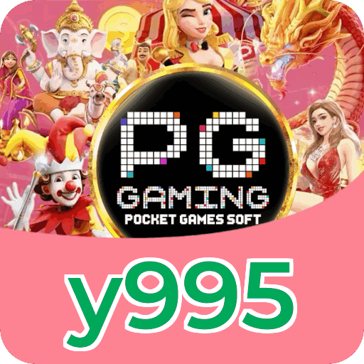 Métodos de pagamento aceitos na y995