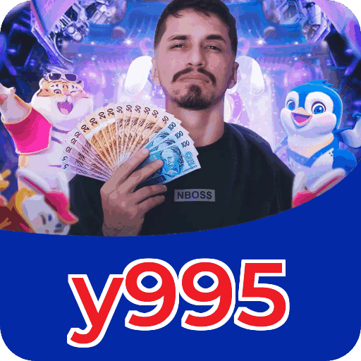 Interface y995